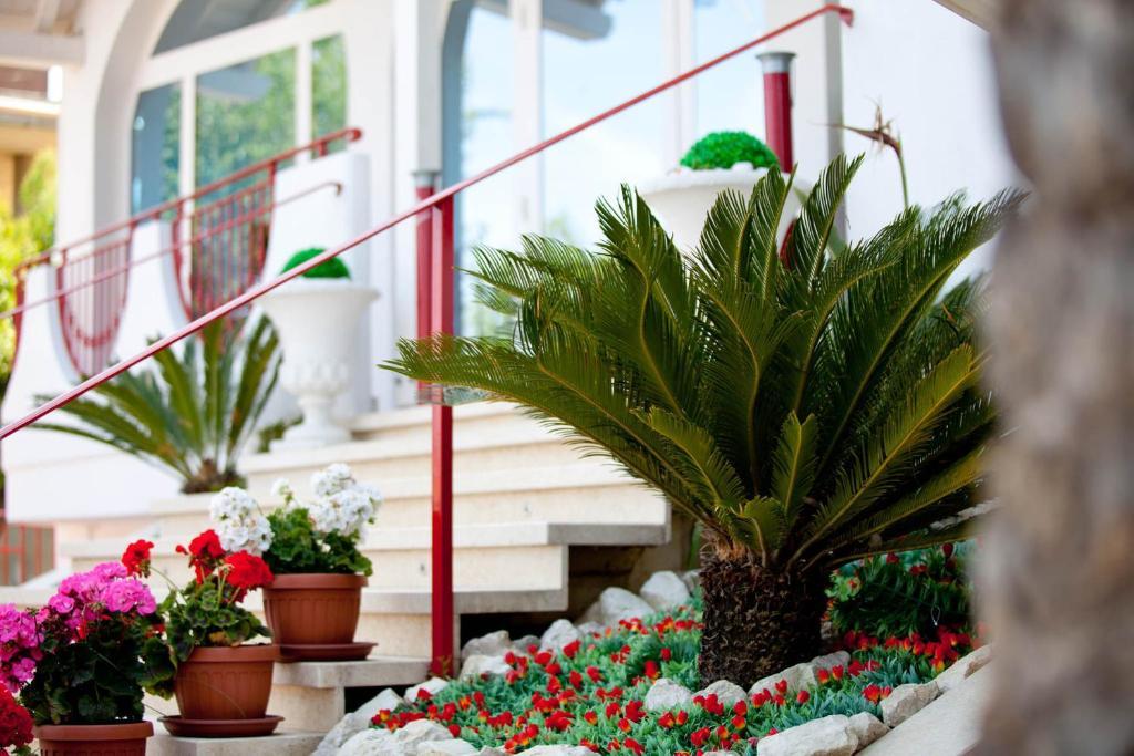Hotel Ambassador Grottammare Luaran gambar